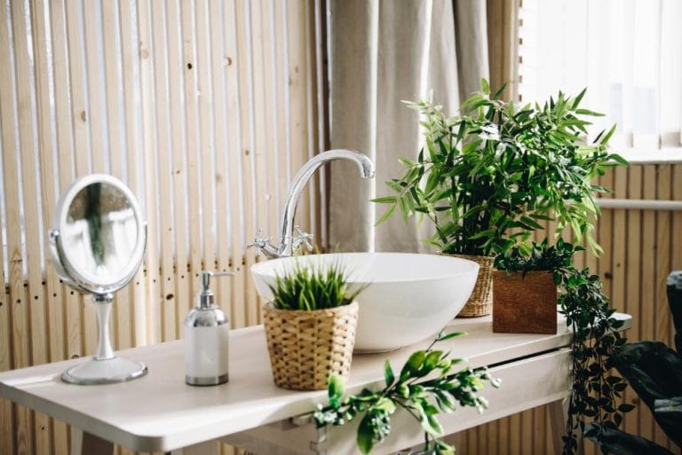 plantes pour salle de bain renovation decoration interieure avec art beton specialiste en beton decoratif au quebec