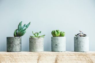 pot-decoration-plantes-beton-art-beton-decoratif-quebec-canada pot-decoration-plantes-beton-art-beton-decoratif-quebec-canada